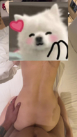 广州白云区寻固定女伴