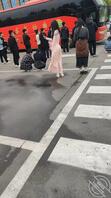 赞皇县绿奴快找我2