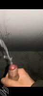 今日鲜榨营养大量精液牛奶