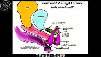 国外小哥哥叫你如何把你的女人肏到喷尿10