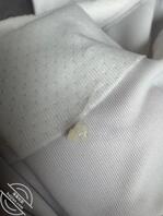 母狗痒了2