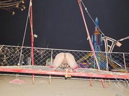 男娘露出