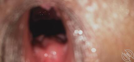 母狗的小骚逼有喜欢的吗0