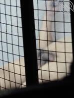 隔壁楼老逼